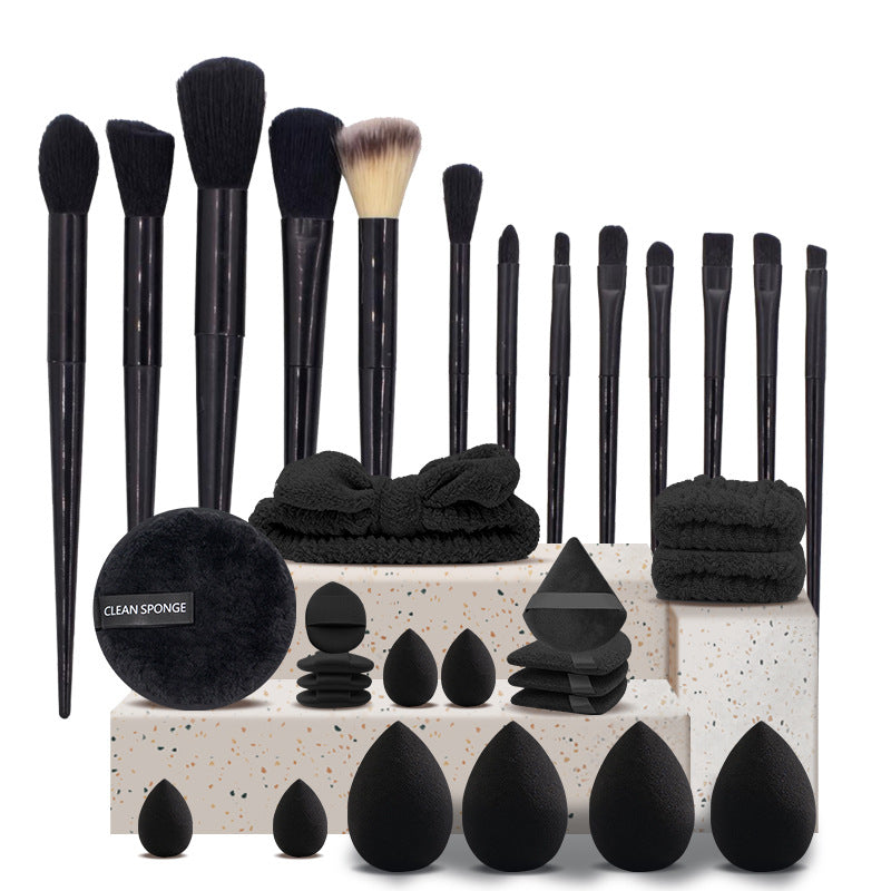 Professional Makeup Brush and Sponge Set